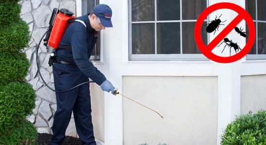 Taşlıçay Böcek ve Haşere İlaçlama böcek ilaçlama ve haşere kontrolü — ilaclama-tr.com